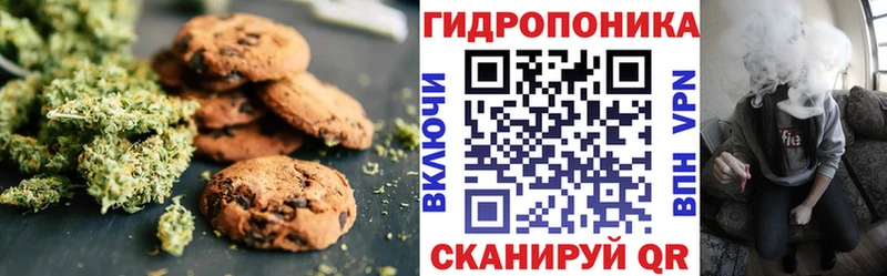 блэк спрут   Мурино  Canna-Cookies конопля 