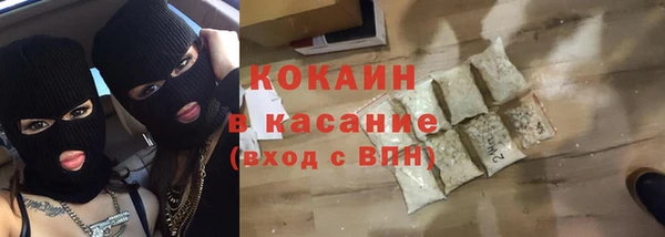 шишки Ладушкин